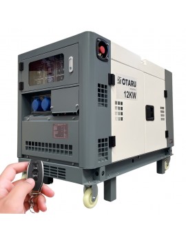 Generador Diesel 12kW...