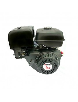 Motor Gasolina 9 hp Partida...